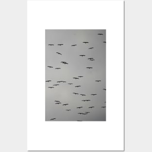 Birds in Flight on a Cloudy Day Posters and Art